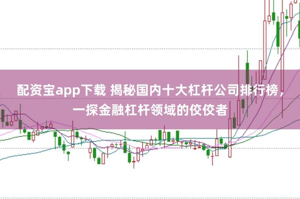 配资宝app下载 揭秘国内十大杠杆公司排行榜，一探金融杠杆领域的佼佼者