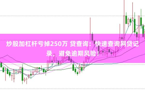 炒股加杠杆亏掉250万 贷查询：快速查询网贷记录，避免逾期风险！