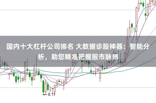 国内十大杠杆公司排名 大数据诊股神器：智能分析，助您精准把握股市脉搏