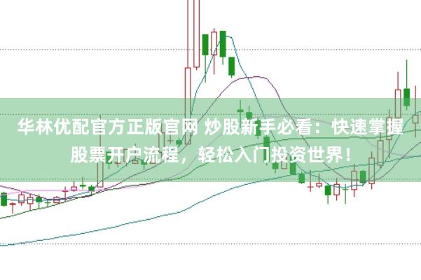 华林优配官方正版官网 炒股新手必看：快速掌握股票开户流程，轻松入门投资世界！