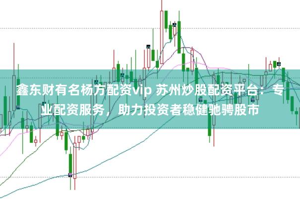 鑫东财有名杨方配资vip 苏州炒股配资平台：专业配资服务，助力投资者稳健驰骋股市