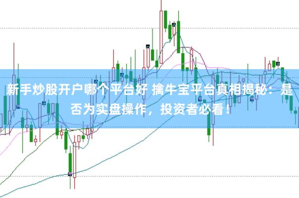 新手炒股开户哪个平台好 擒牛宝平台真相揭秘：是否为实盘操作，投资者必看！
