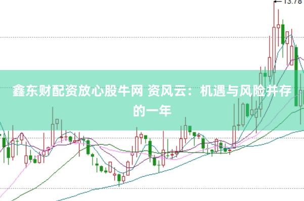 鑫东财配资放心股牛网 资风云：机遇与风险并存的一年