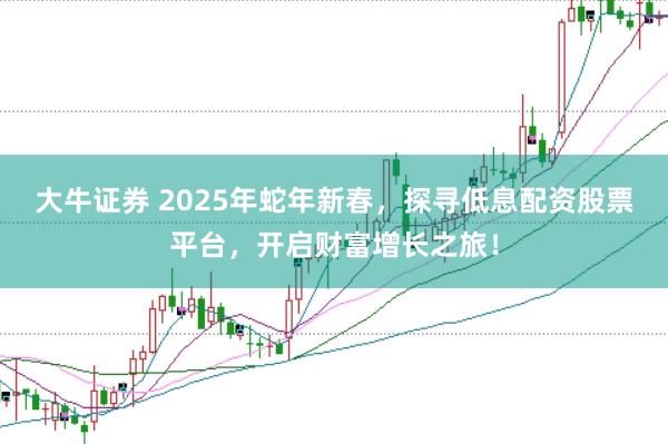大牛证券 2025年蛇年新春，探寻低息配资股票平台，开启财富增长之旅！