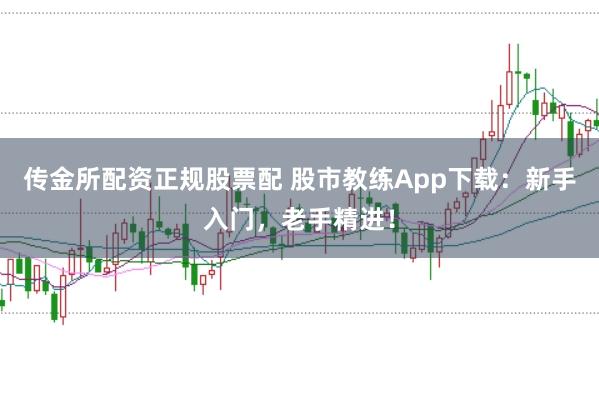 传金所配资正规股票配 股市教练App下载：新手入门，老手精进！