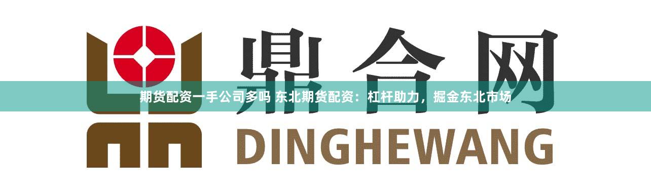 期货配资一手公司多吗 东北期货配资：杠杆助力，掘金东北市场