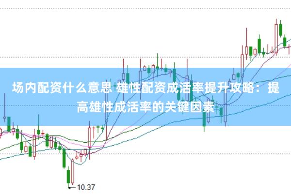 场内配资什么意思 雄性配资成活率提升攻略：提高雄性成活率的关键因素