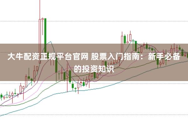 大牛配资正规平台官网 股票入门指南：新手必备的投资知识