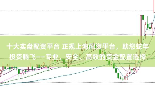 十大实盘配资平台 正规上海配资平台，助您蛇年投资腾飞——专业、安全、高效的资金配置选择