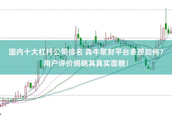 国内十大杠杆公司排名 犇牛聚财平台表现如何？用户评价揭晓其真实面貌！