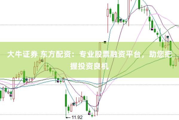 大牛证券 东方配资：专业股票融资平台，助您把握投资良机