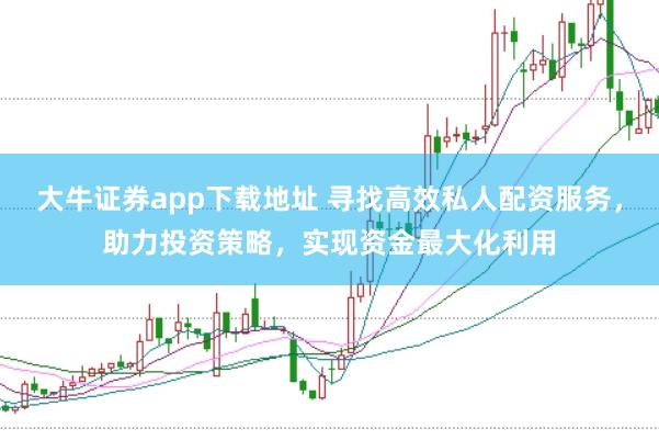 大牛证券app下载地址 寻找高效私人配资服务，助力投资策略，实现资金最大化利用