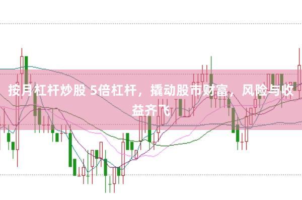 按月杠杆炒股 5倍杠杆,撬动股市财富,风险与收益齐飞