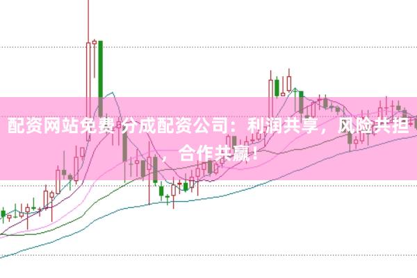 配资网站免费 分成配资公司:利润共享,风险共担,合作共赢!