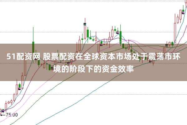 51配资网 股票配资在全球资本市场处于震荡市环境的阶段下的资金效率