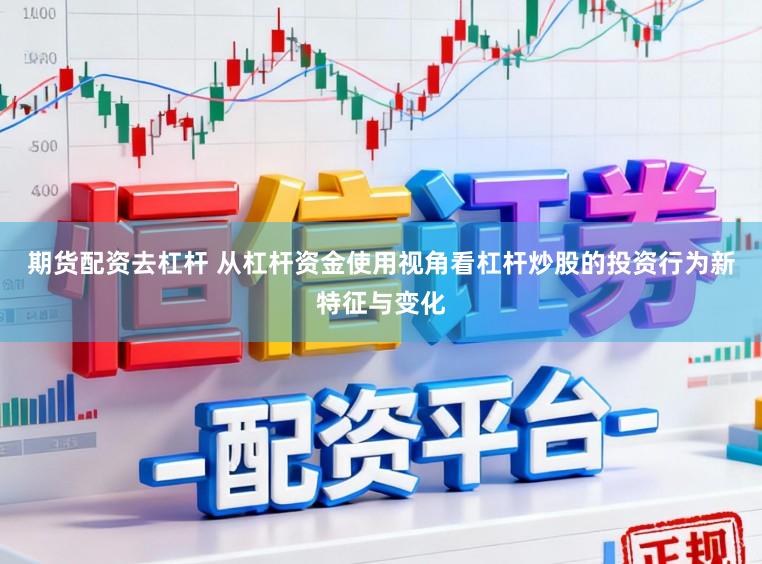 期货配资去杠杆 从杠杆资金使用视角看杠杆炒股的投资行为新特征与变化