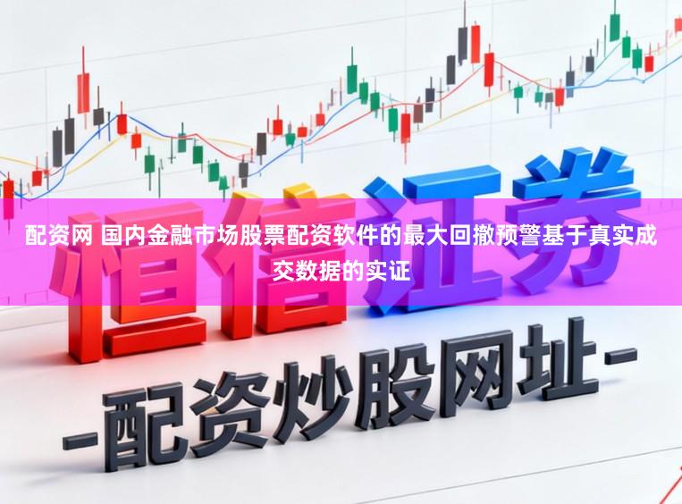 配资网 国内金融市场股票配资软件的最大回撤预警基于真实成交数据的实证
