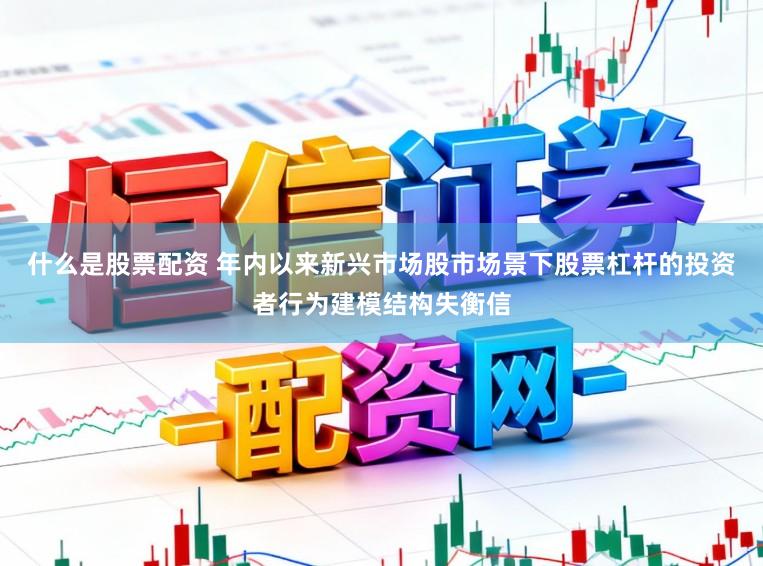 什么是股票配资 年内以来新兴市场股市场景下股票杠杆的投资者行为建模结构失衡信