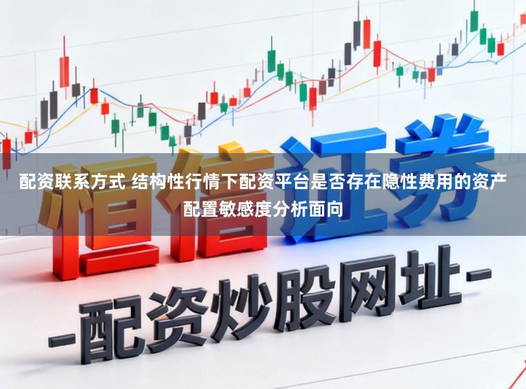 配资联系方式 结构性行情下配资平台是否存在隐性费用的资产配置敏感度分析面向