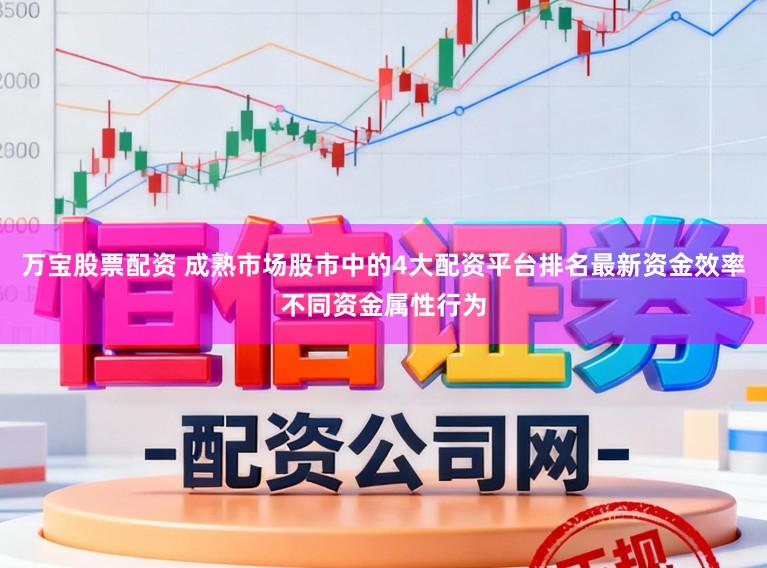 万宝股票配资 成熟市场股市中的4大配资平台排名最新资金效率不同资金属性行为