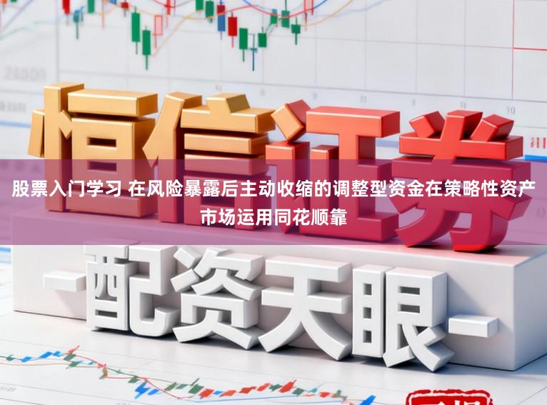股票入门学习 在风险暴露后主动收缩的调整型资金在策略性资产市场运用同花顺靠